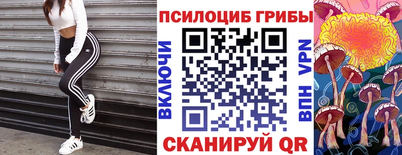 Купить Шилка Псилоцибиновые грибы прущие грибы